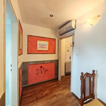 Damir أوباتيا