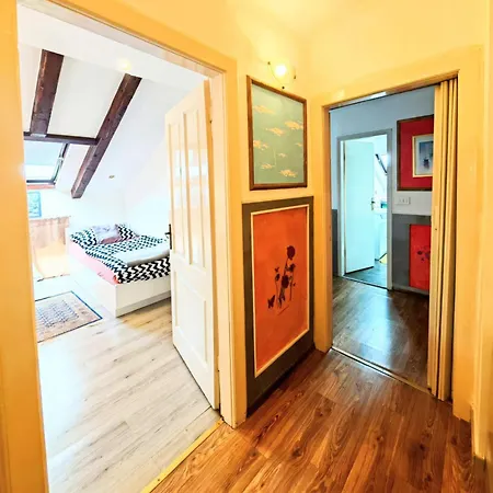 Damir * أوباتيا