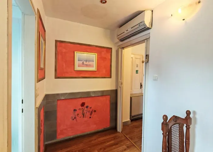 Damir أوباتيا